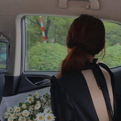 我的爸爸是森林之王2